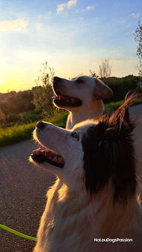 WhatsApp Bild 2024-05-22 um 16.06.18_f3aa30bf.jpg