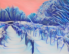 snow in the vineyards