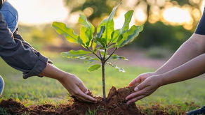 Un arbre més per a un futur sostenible