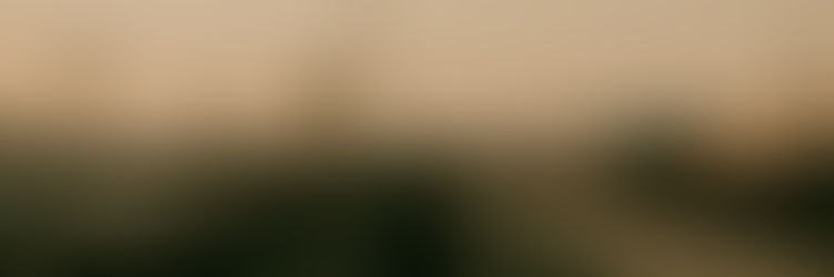 Monitoring an Extensive Rail Corridor with InSARĀ