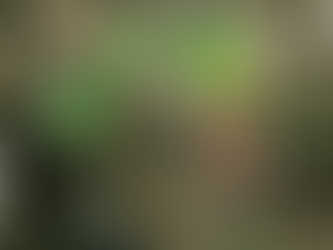 How Do SAR Satellites Collect Data from Earth?