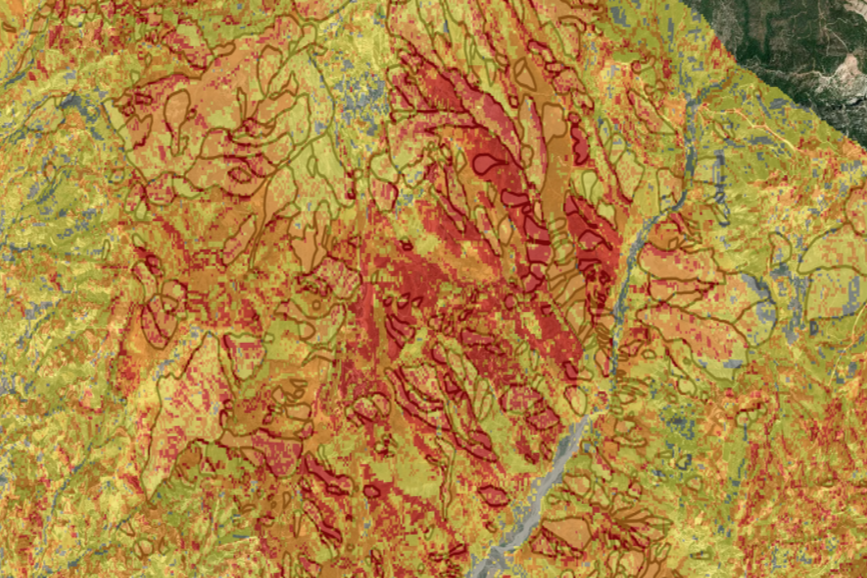 Surface deformation analysis