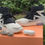 Thumbnail: Air Fear Of God 1 "The Question"