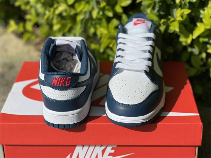 Thumbnail: Nike Dunk - Low "Valerian Blue"
