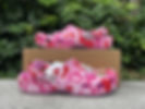 Thumbnail: BAPE x Crocs Classic Clog "ABC Camo - Pink"