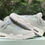 Thumbnail: Air Jordan 4 "Seafoam Sail"