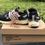 Thumbnail: Off-White x Nike Air Presto "The Ten"