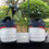 Thumbnail: Air Jordan 1 - Low "USA"