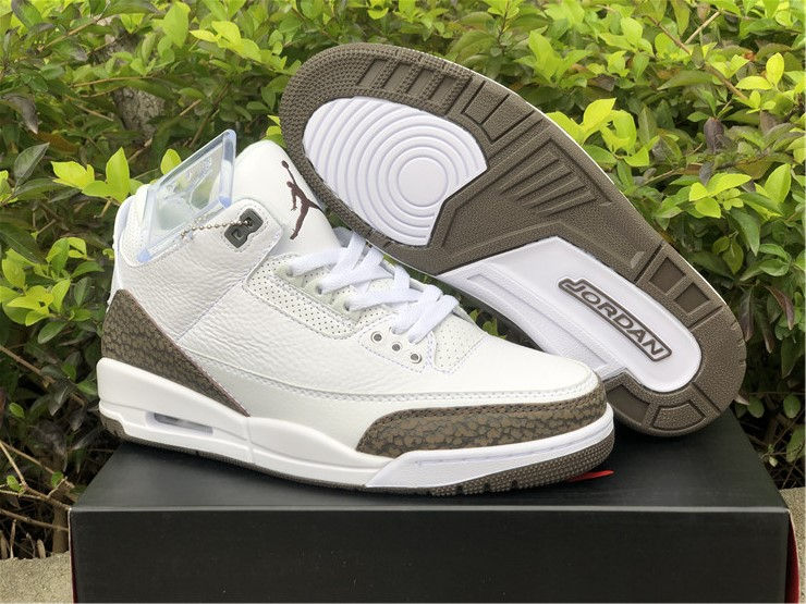 Air Jordan 3 "Mocha"