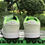 Thumbnail: Nike Dunk - Low "University of Oregon"