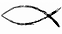 Christian Fish Photo.png