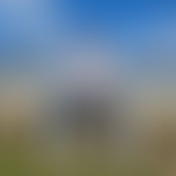 “Na de zomer gaan we trainen.”