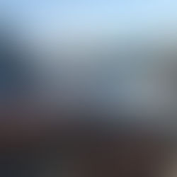 Meeuwen op je motorkap brengen ellende. Meeuwen in je organisatie net zo.