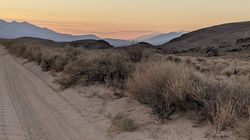 PXL_20210612_030236248