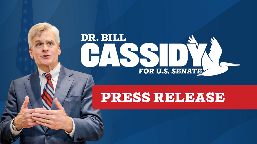 Vibrant Sen Cassidy Latest Updates Design in 4K Vibrant Sen Cassidy Latest Updates Design in 4K