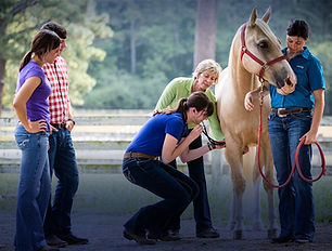 ANIMAL SCIENCE.jpg