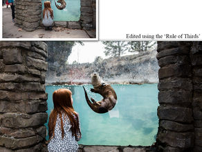 Making a more impactful image using composition