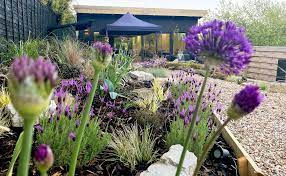 Thumbnail: LVL 1 - Boy to King - Discover the Masculine Archetypes. Feb 2026, Dorset.