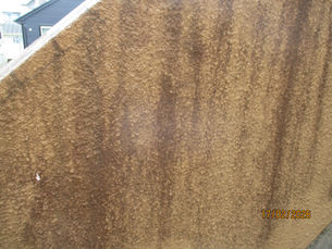 外壁に繫殖する藻について、又その予防対策とは何　平塚市塗装工事　