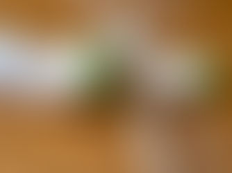 タイトル【平塚市外壁塗装　養生工事について】