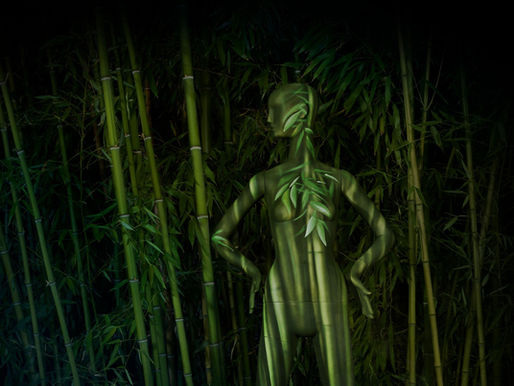 Bonaveri Unveils The World's First Biodegradable Mannequin