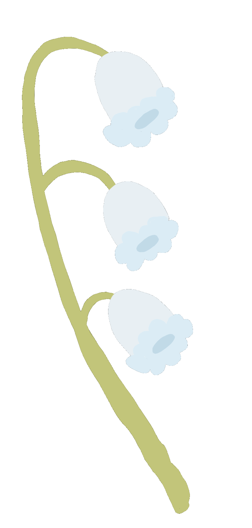 lily of the valley