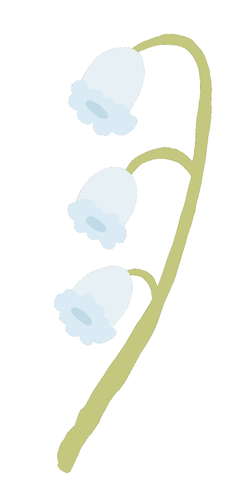lily of the valley