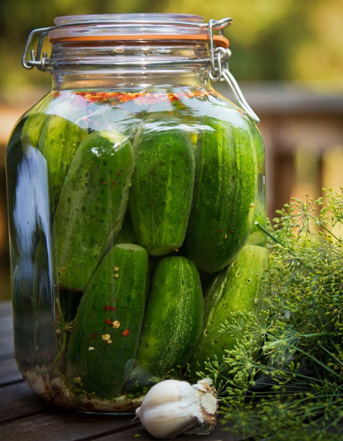 Fermented Garlic Dill Pickle Recipe