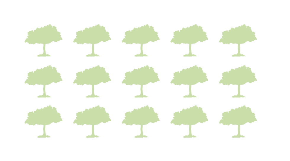 arboles x 15-08.png
