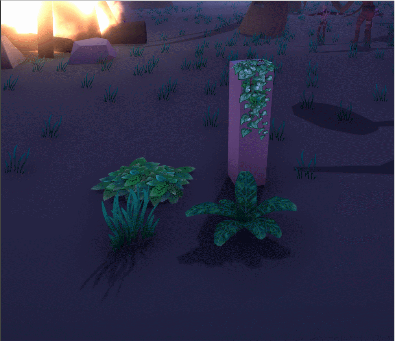 Flora