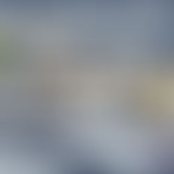 IMPS Hamilton Club Meeting Recap - January 2020: BF109 Build Challenge