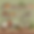 Design sans titre (3).png