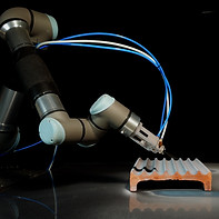 Sequence 02.00_02_50_09.Still001.jpg