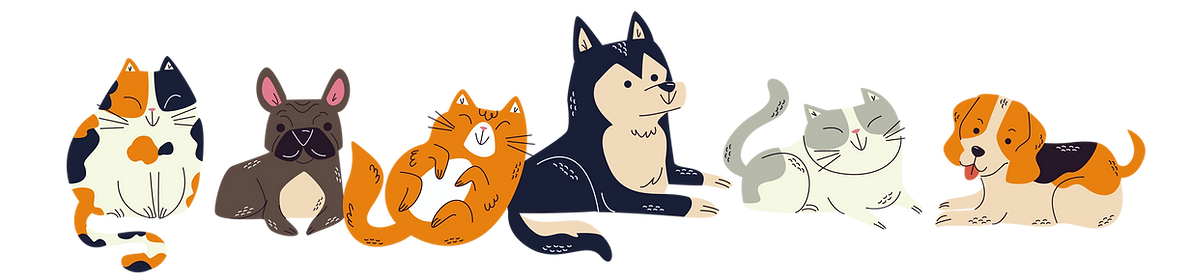Dogs and Cats, Dogsitting, Petsitting, Catsitting, Dogwalking, Services, Petsitting at your home, Private Advisory