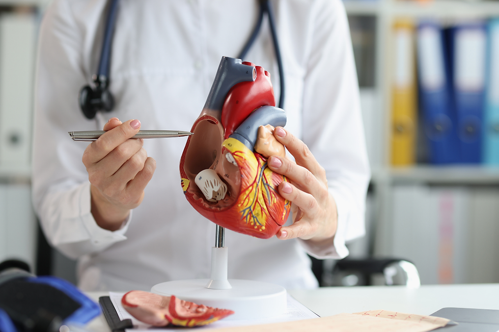 Private Cardiologist in London vs. NHS Waiting Times and Quality