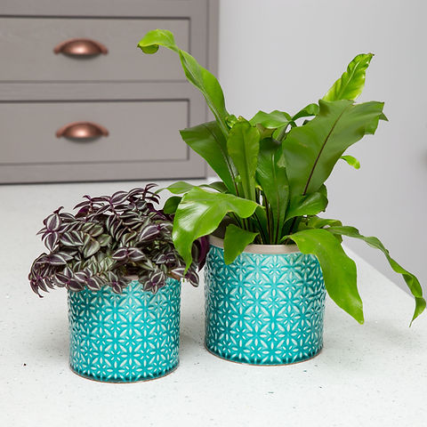 Turquoise Moroccan ceramic planter | Stupid Egg