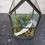 Thumbnail: Mini House Terrarium & Succulent Set