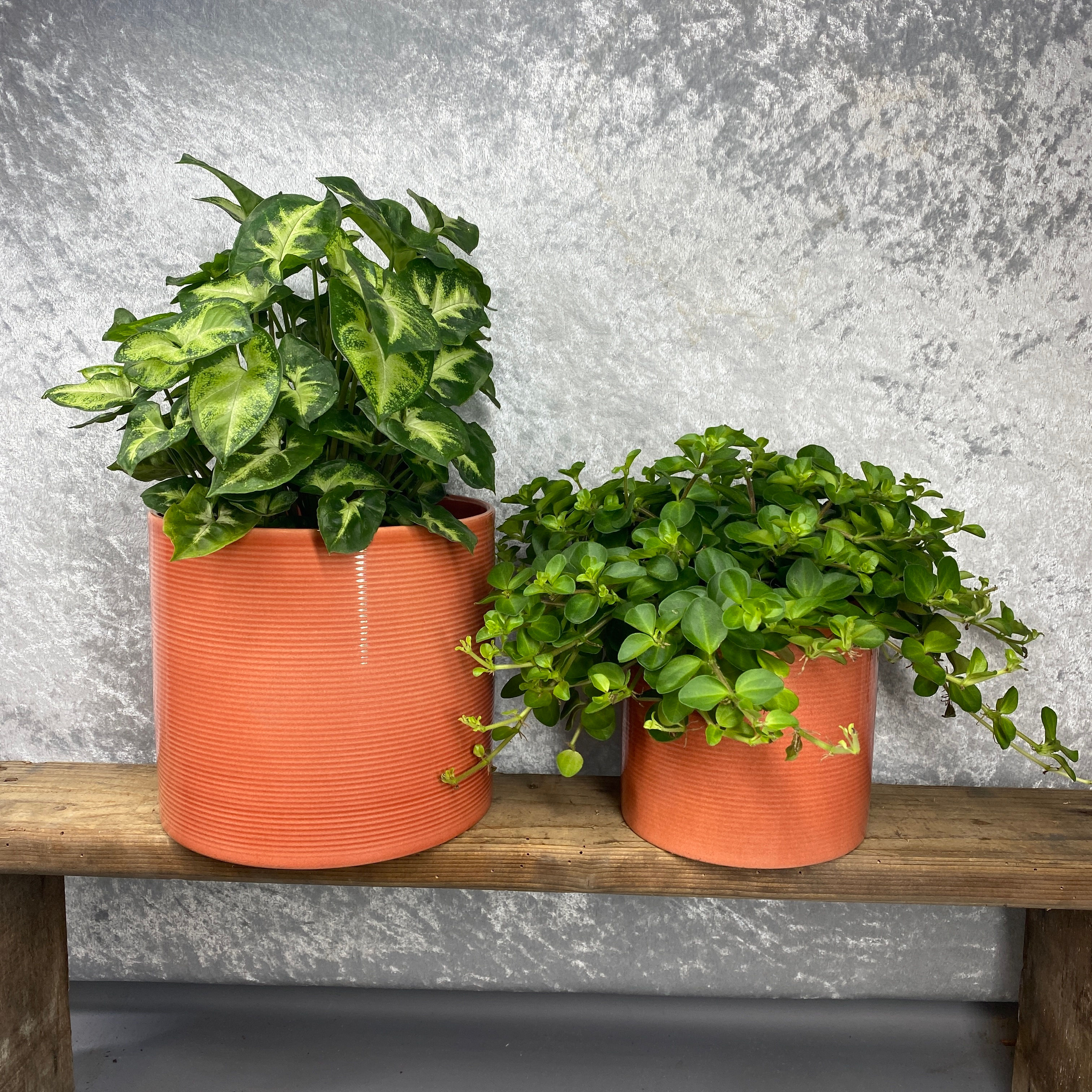 Papaya Ribbed Ceramic Planter