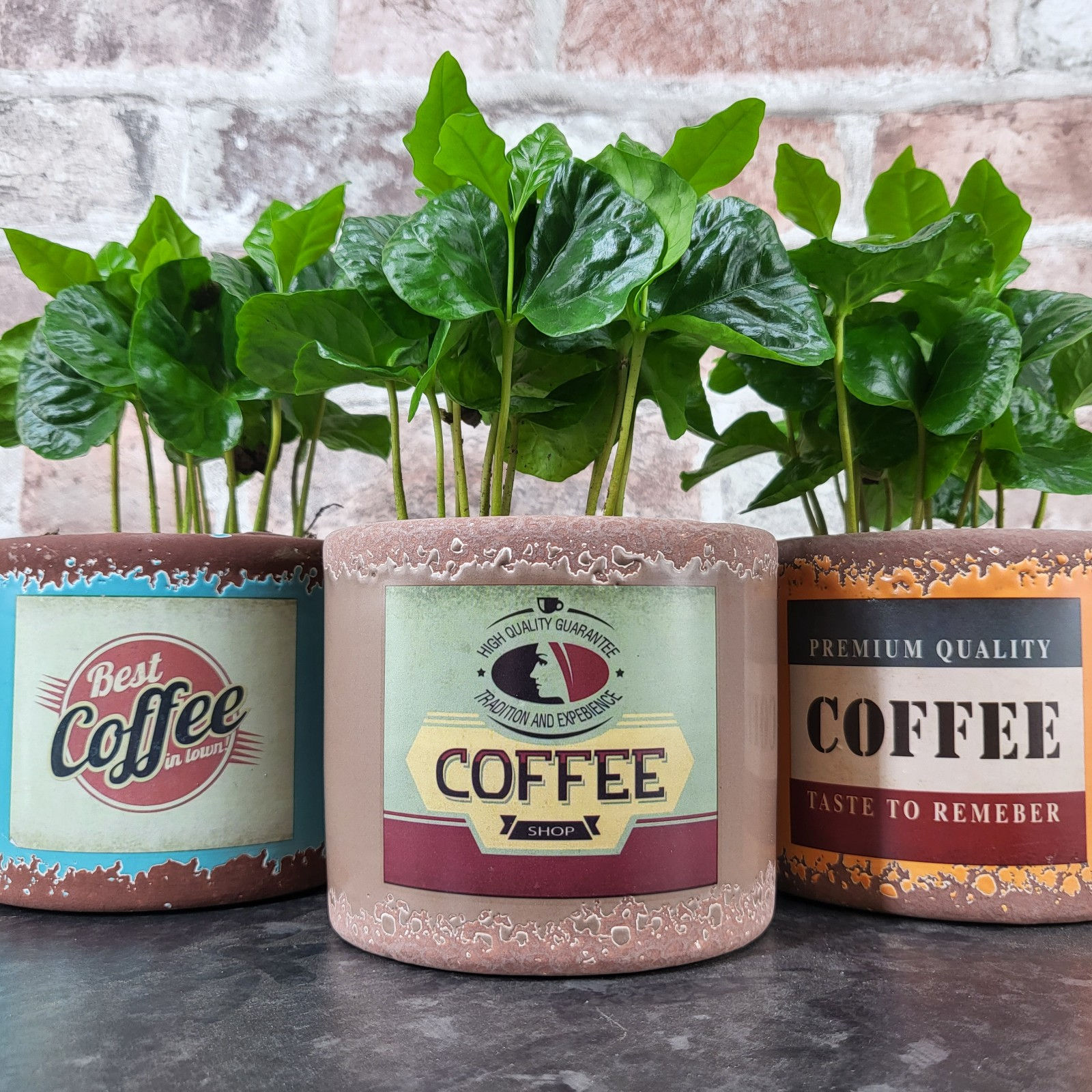 Retro Ceramic Coffee Planter and optional surprise plant