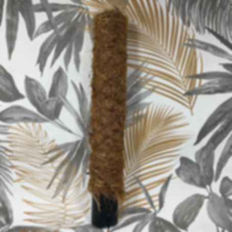 Coir Moss Pole - 50cm Plant Support