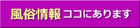 200x40 (14)