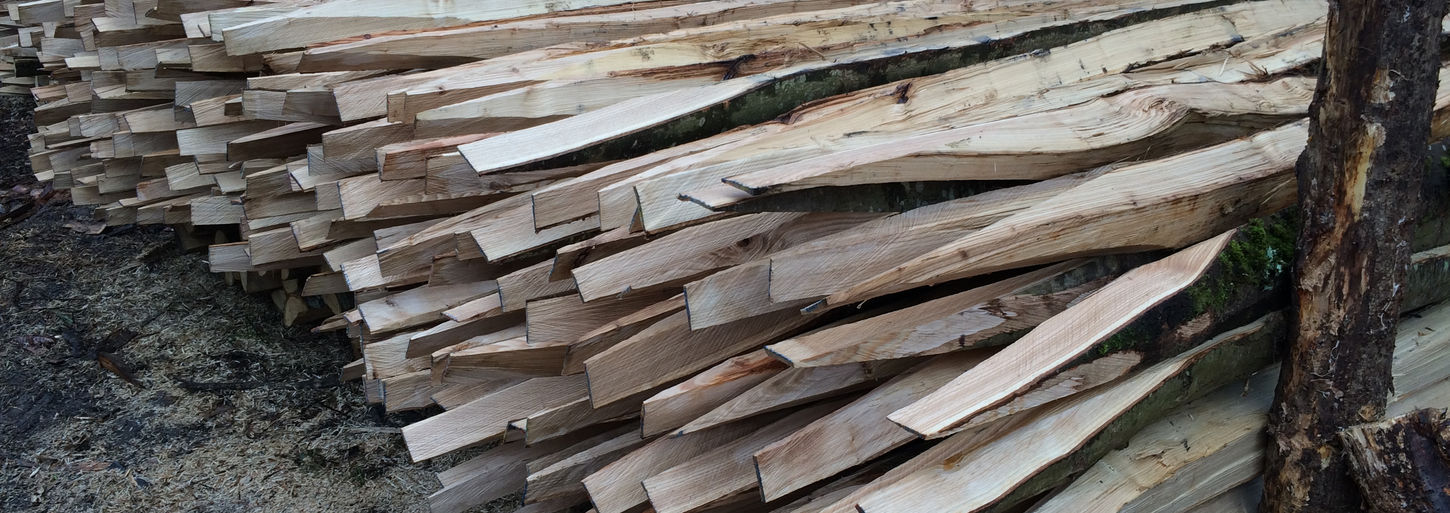 baz iphone 081215 096.JPG