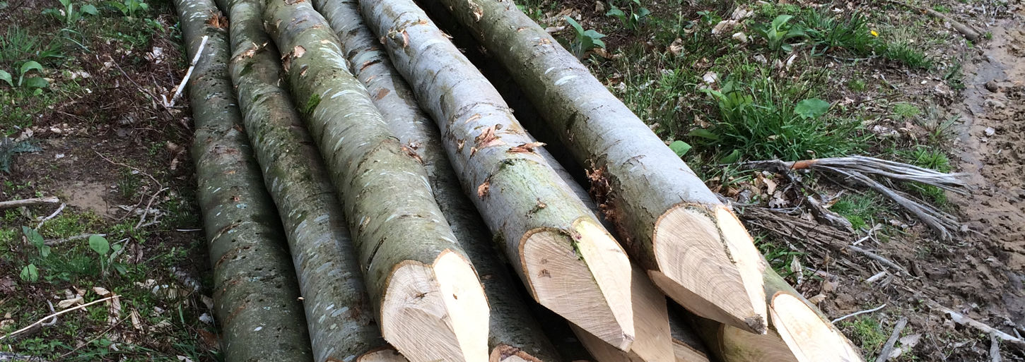 baz iphone 081215 193.JPG