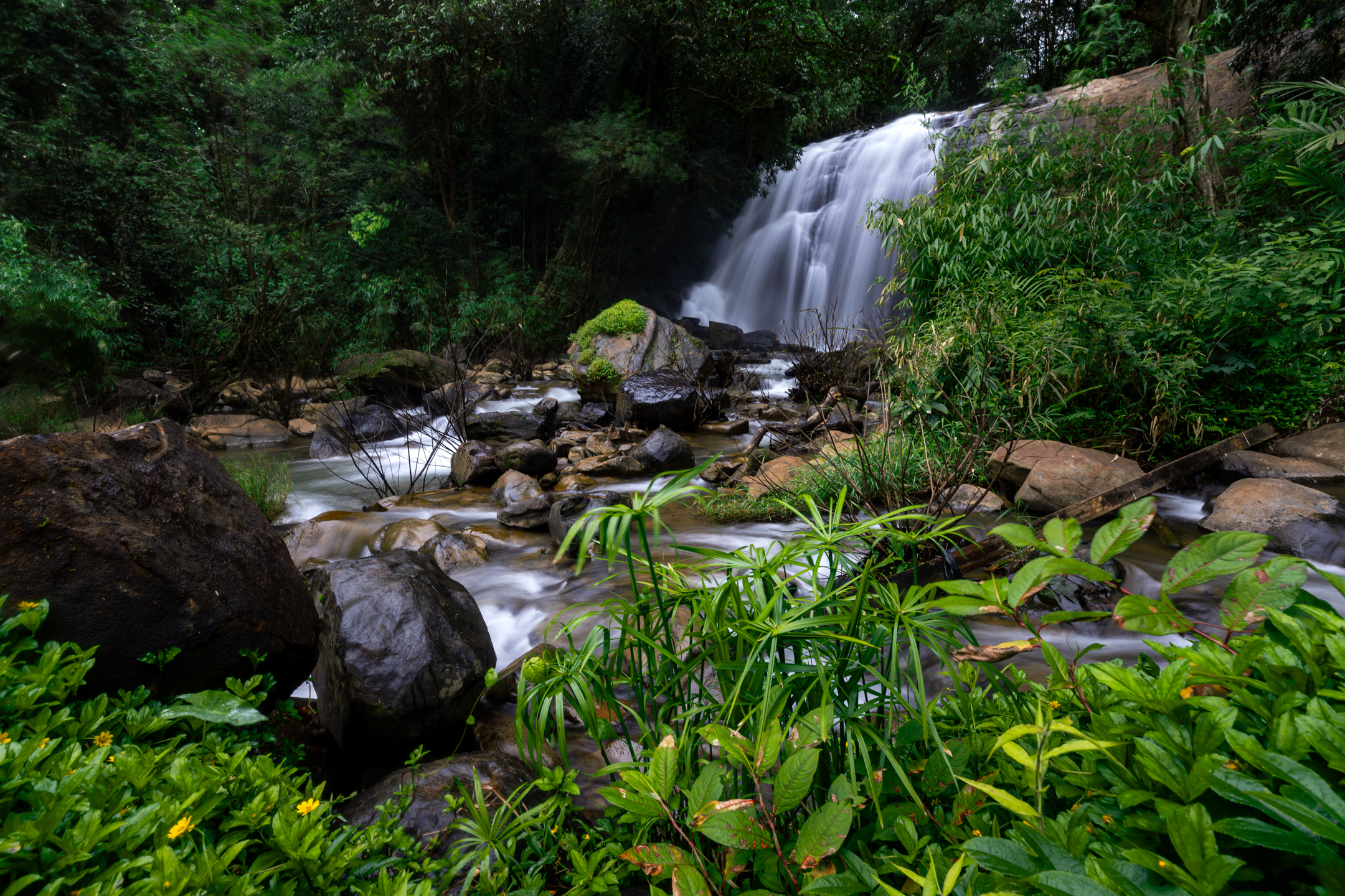 Waterfall flowing over dark stone in a natural landscape