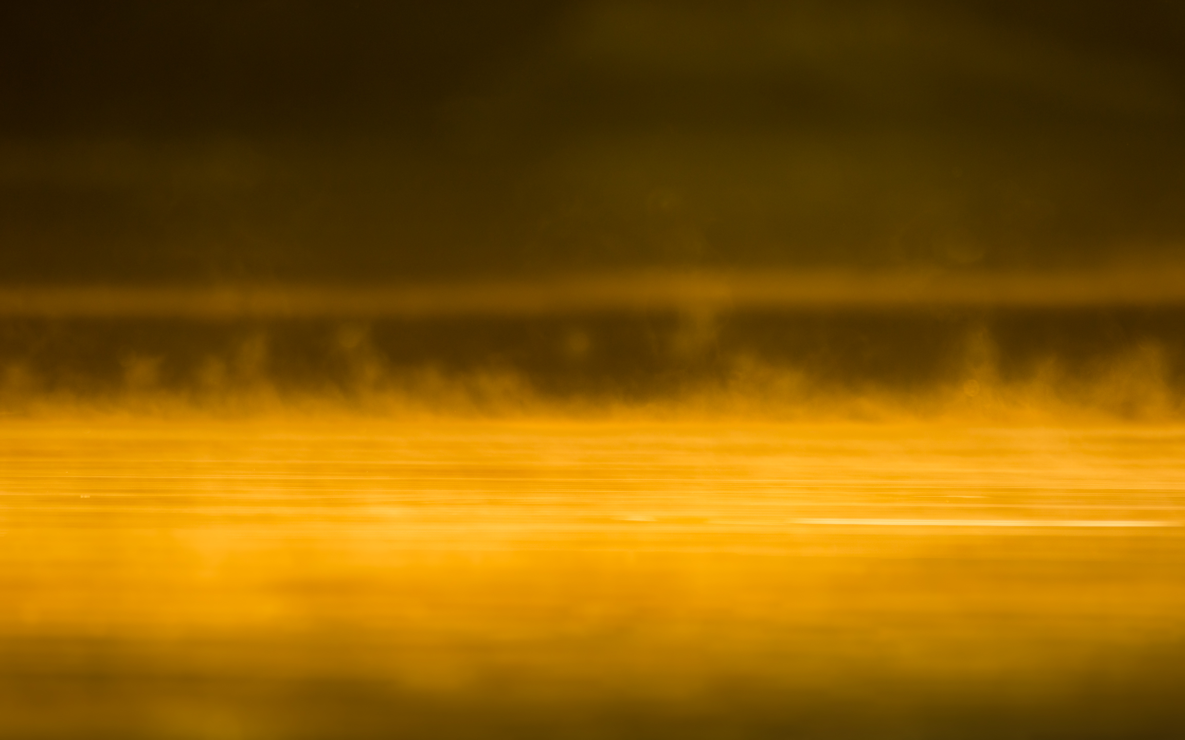 Mist resting over still water