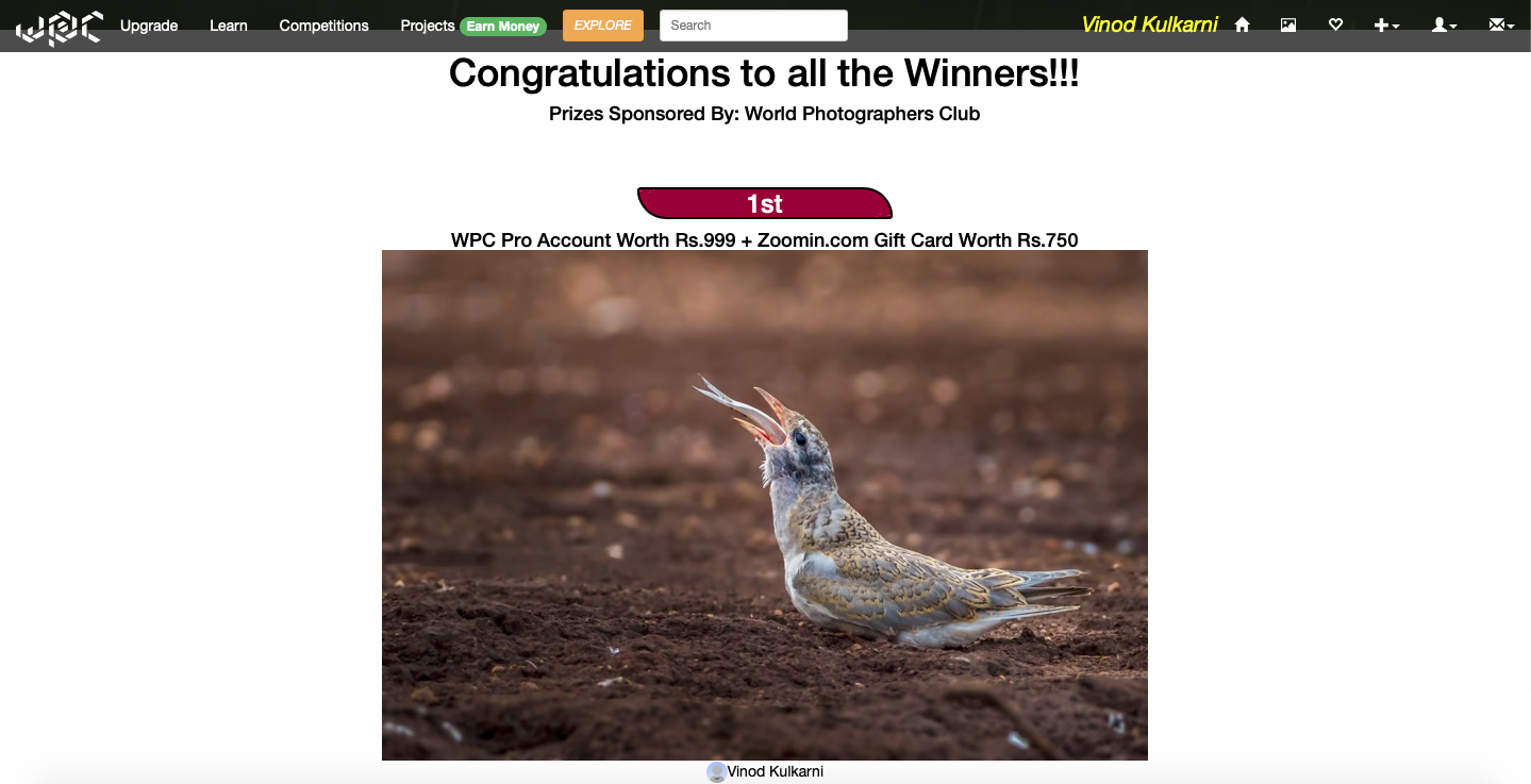 Original portfolio record associated with bird and nature photography contest wins