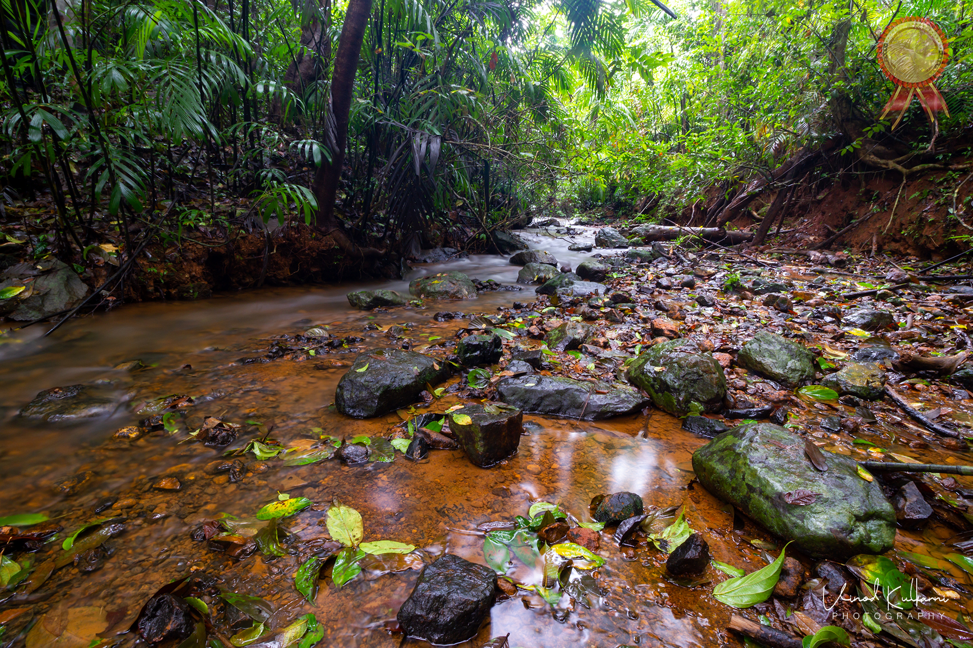 Photograph associated with the HSBC Water Programme Photographer of the Year 2018 recognition
