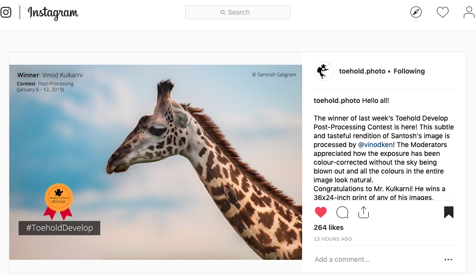 Original archive image associated with the second Toehold Post Processing Award