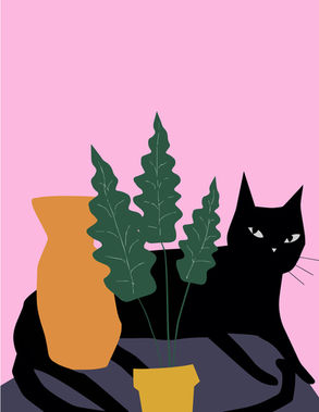 Miaou