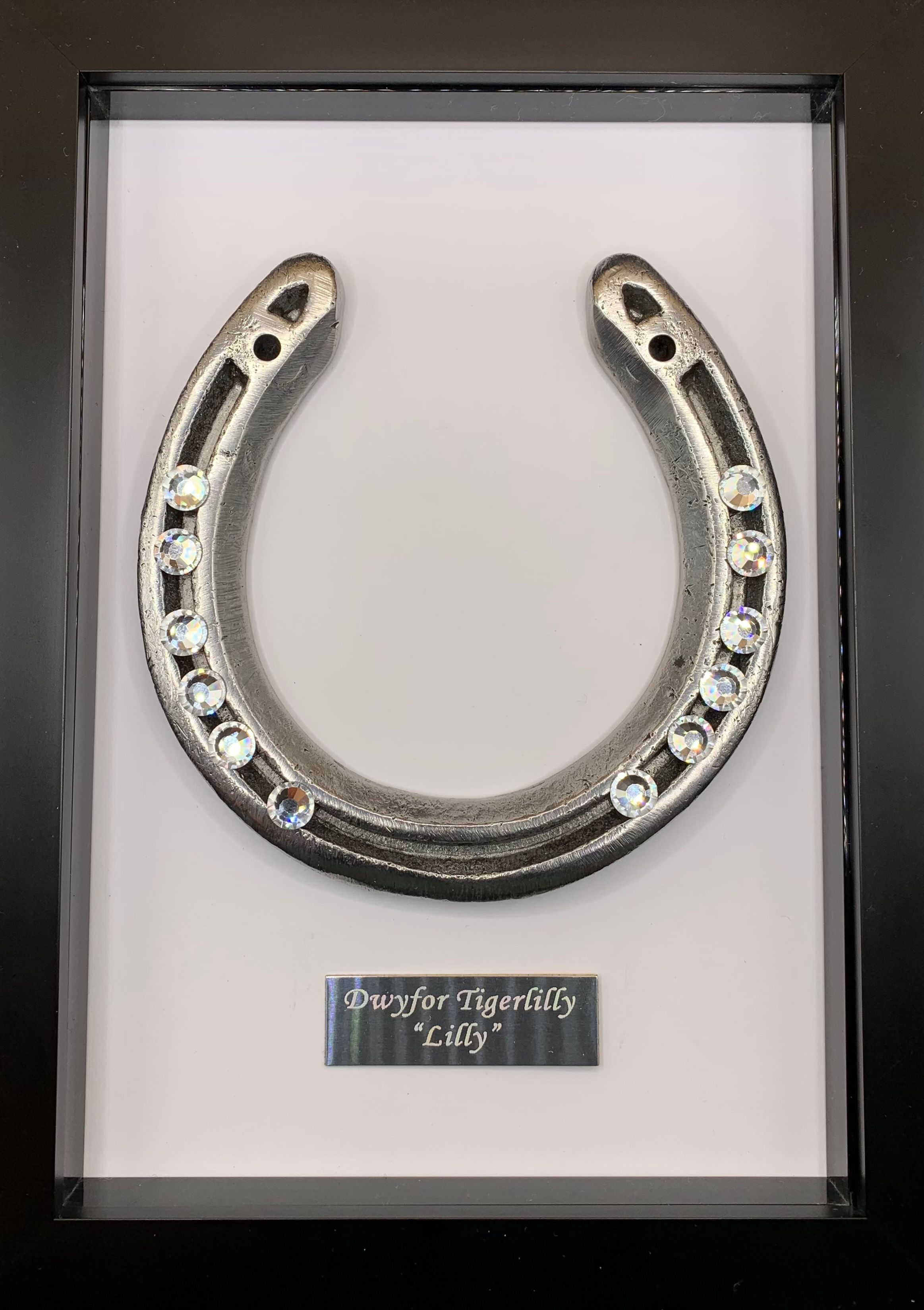 Framed Crystal Nail Horseshoe